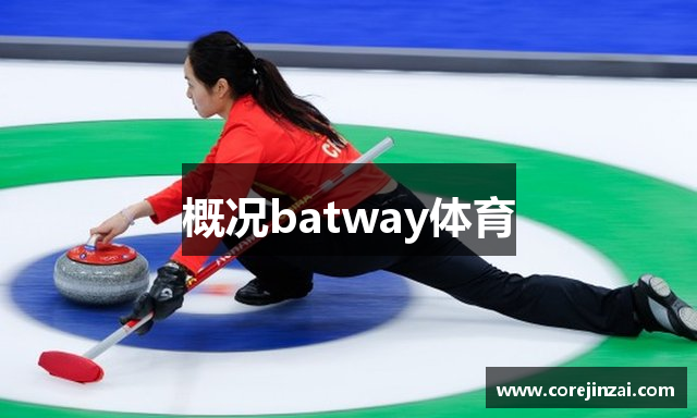 概况batway体育